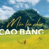 Review tour du lịch Cao Bằng do công ty du lịch Khát Vọng Việt tổ chức