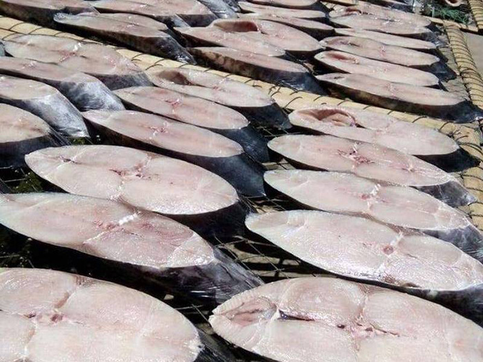 Tại DASAVINA, cá thu một nắng được lựa chọn và bảo quản kỹ lưỡng với mong muốn mang đến hương vị tươi ngon, lớp thịt ngọt, thơm từ sản phẩm. 