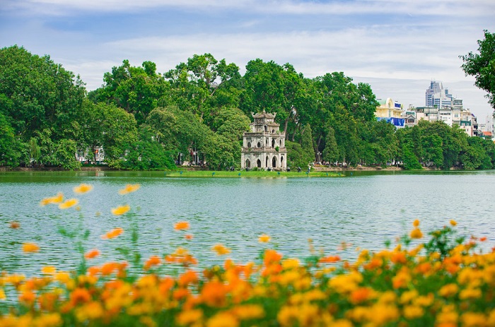 Vào mùa thu, Hà Nội khoác lên mình chiếc áo vàng rực rỡ của những tán cây