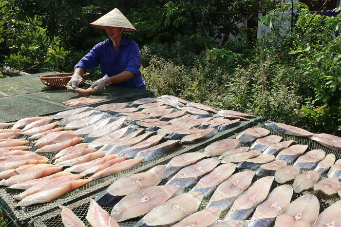 Lưu ý khi chế biến cá thu một nắng