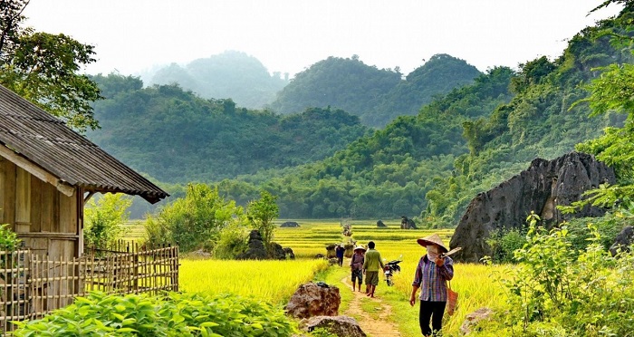 Cuộc sống bình yên mang đến cảm giác gần gũi, thân thuộc