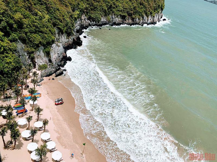 Bãi biển Cát Cò được mệnh danh là bãi biển đẹp nhất Hải Phòng