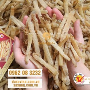 Địa chỉ bán sá sùng ở TP.HCM uy tín, chất lượng, giao hàng tận nơi!