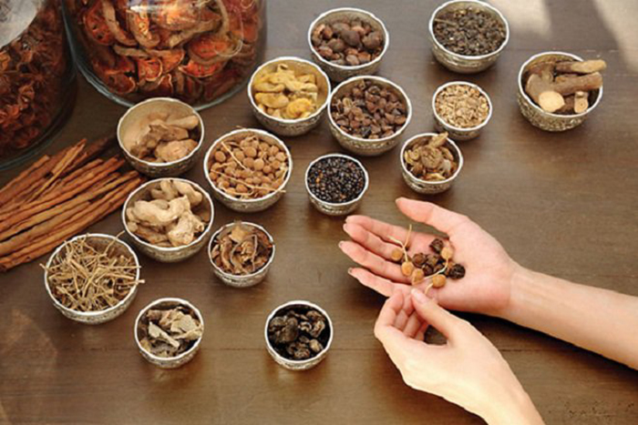 Rươi - bài thuốc quý trong đông y