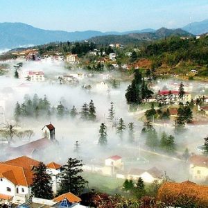 Cập nhật tour du lịch Tam Đảo 1 ngày giá bao nhiêu?