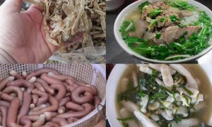 Mua sá sùng nấu phở ở đâu Hà Nội? Gợi ý nơi tìm mua uy tín nhất