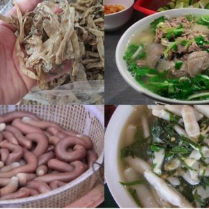 Mua sá sùng nấu phở ở đâu Hà Nội? Gợi ý nơi tìm mua uy tín nhất