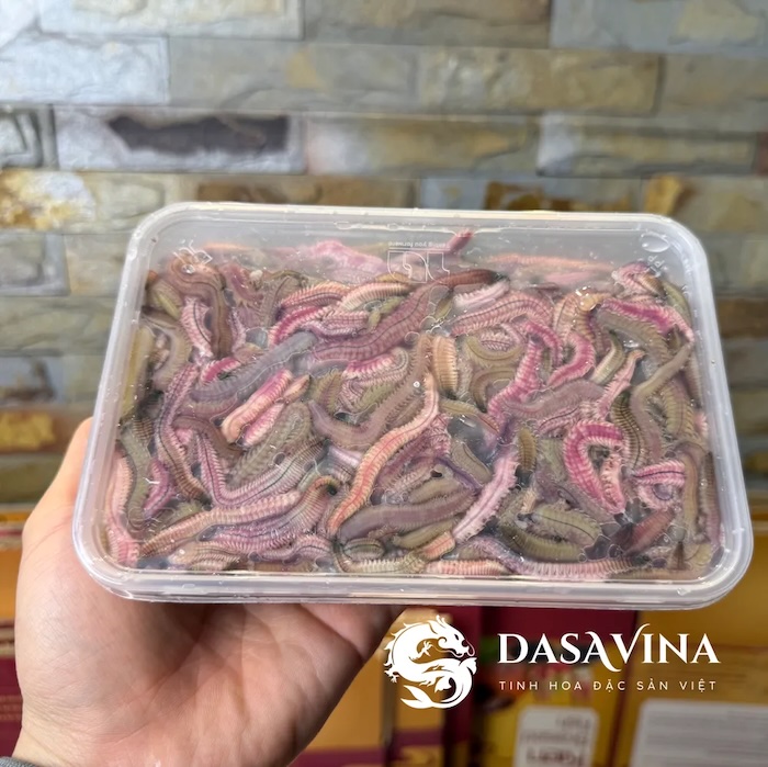 Rươi đông lạnh có thể sử dụng bình thường với giá trị dinh dương tối đa